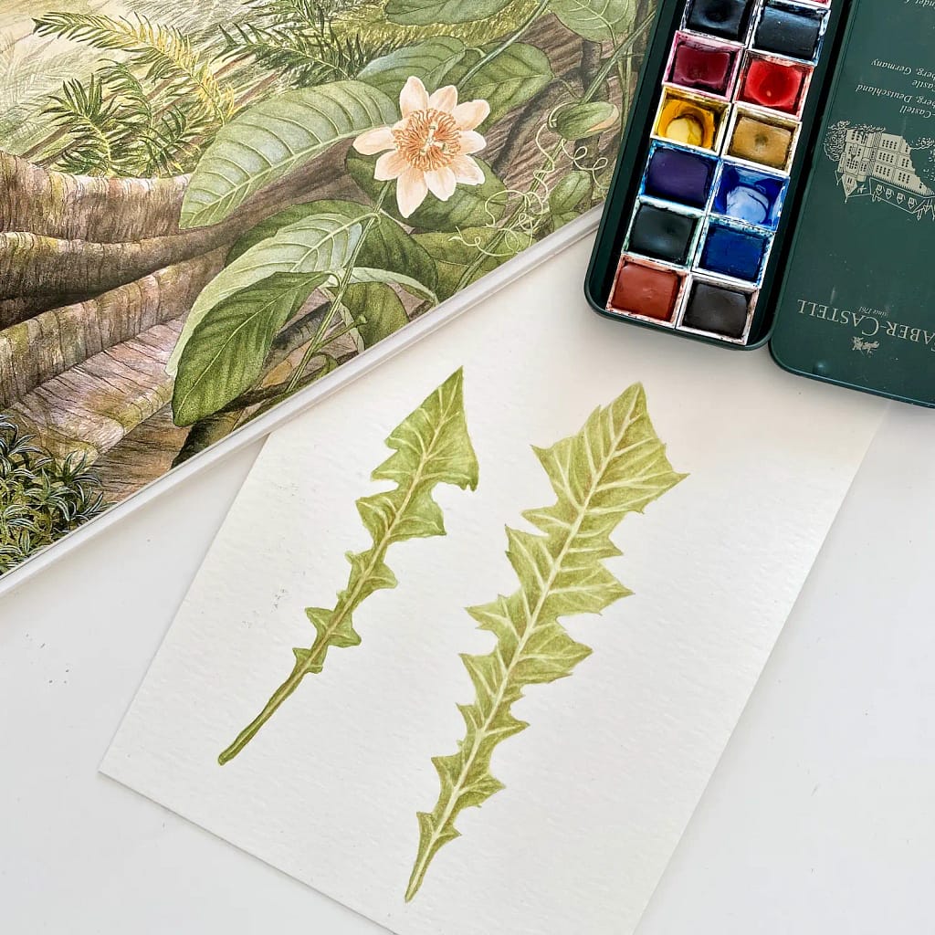 Proces malowania liścia akwarelą w szkicowniku botanicznym
