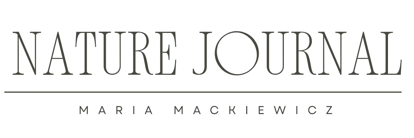 naturę journaling w polsce