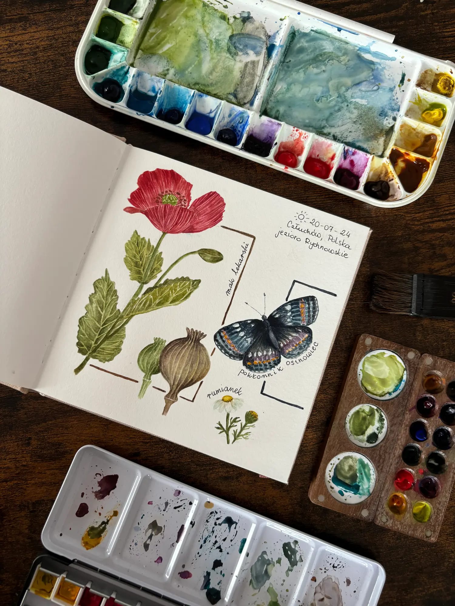 Szkicownik z rysunkiem rośliny i akwarelą podczas nature journalingu