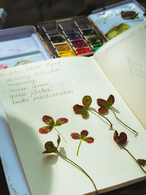 Ilustracja botaniczna wykonana akwarelą