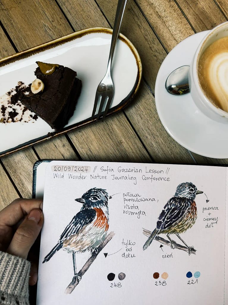 Szkicownik z rysunkami ptaków i notatkami z obserwacji
