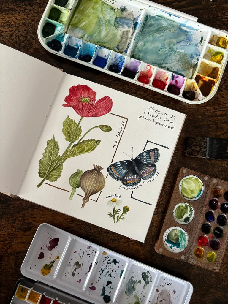 Szkicownik z rysunkiem rośliny i akwarelą podczas nature journalingu