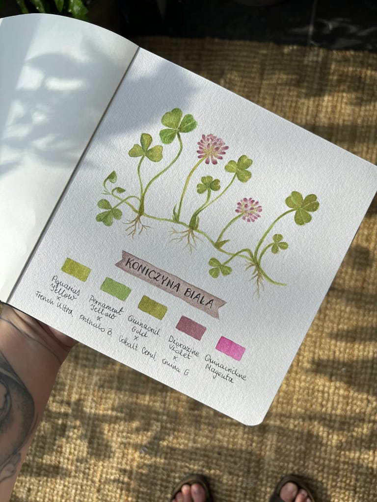 Fragment szkicownika z rysunkiem i opisem budowy rośliny