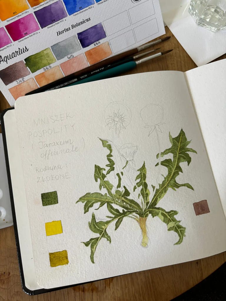 Szkic rośliny w trakcie pracy – obserwacja i detale natury